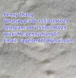 Methylamine hydrochloride CAS 593-51-1 WahtsApp:+86 15530196029 - 