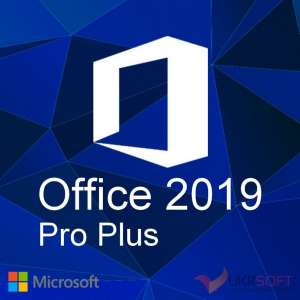 Microsoft Office 2019 Pro Plus       - 