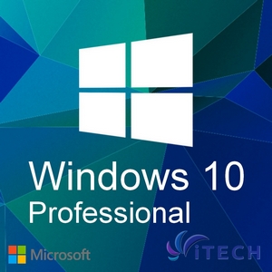 Microsoft Windows 10 Professional     (ESD) - 