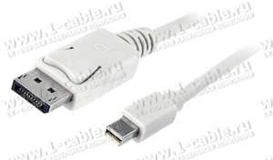 Mini-DisplayPort  DisplayPort