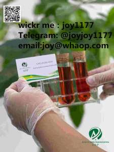 new bmk oil CAS 20320-59-6 Diethyl(phenylacetyl)malonate - 