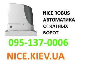 Nice Robus      