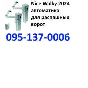 Nice Walky 2024          