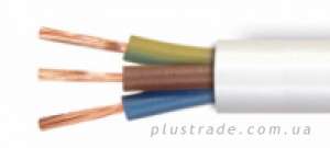 Nilson �������, �����������. ����������� Articam, � ����� ������ ������.