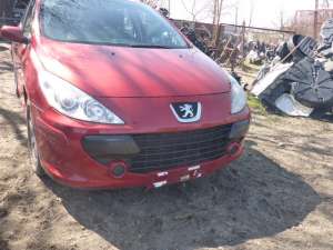 Peugeot 307     - 