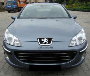 Peugeot 407     