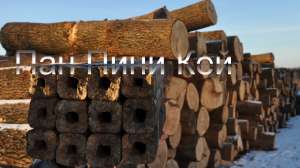 Pini Kay Брикет Дубовый от производителя - объявление