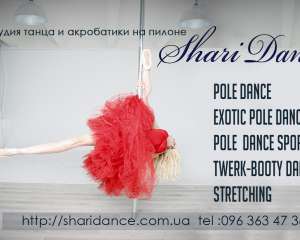 Pole dance .Акробатика на пилоне. Киев. СОЛОМЕНСКИЙ РАЙОН