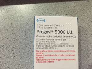 Pregnyl () 5000 () - 