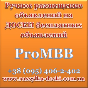 ProMBB   2018   - 