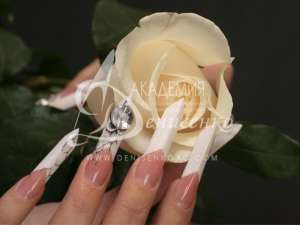 Reform TOP Gel - (  3- )