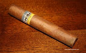 ROBUSTO 180  - 