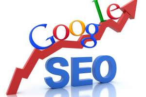 SEO/       -  Nomax - 