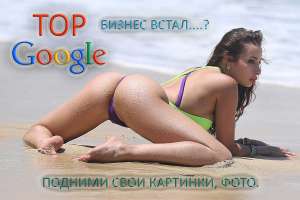 SEO SMM        Google  