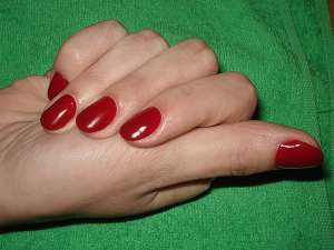 Shellac 100 . -  50  -, , 