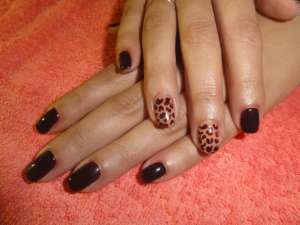 Shellac Шелак в салоне м. Позняки недорого