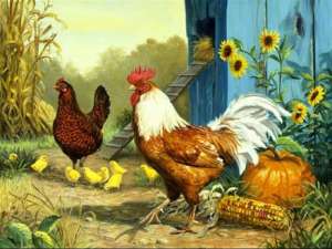 shencon ������