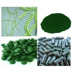 Spirulina 50  :  -100 - 