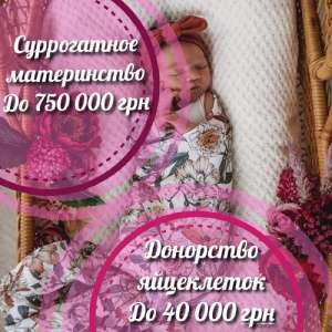 SURmamka.  .    40000 . - 