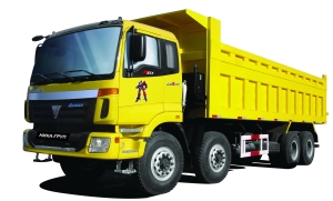 ,TATA, JA, FOTON, DongFeng, FAW, Mudan, Eagle - 