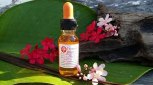 Thanyapoom Nasal Polyp Drop, 30 мл - назальные капли от синуситов, ринитов и гайморита на травах - объявление