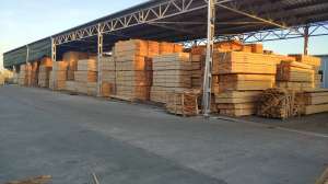 Timber Wood KD/Lumber. , , 