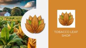 Tobacco Leaf Shop: натуральний листовий тютюн найвищої якості! - объявление