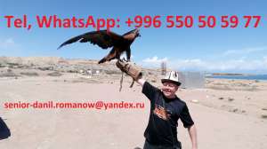 Travel in Kyrgyzstan, tourism, excursions, guide, hiking in mountains, driver - 