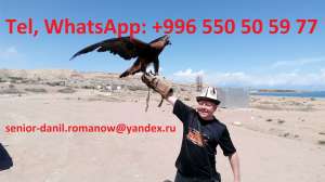 Travel in Kyrgyzstan, tourism, excursions, guide, hiking in mountains, driver