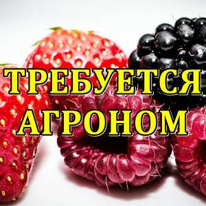 Tребуетcя Агроном на сельхозпредприятие. - объявление