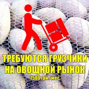 Tребуются грузчики на оптовый овощной рынок. - объявление
