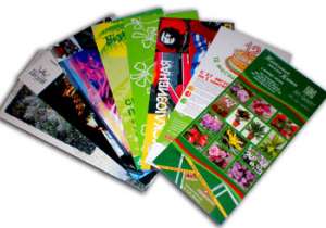 VIP ����������