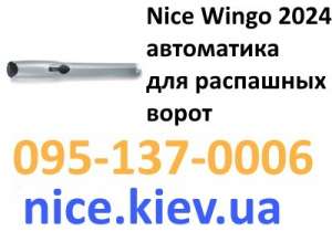 Wingo 2024 Nice         - 