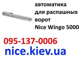 Wingo 5000 Nice    ()     - 