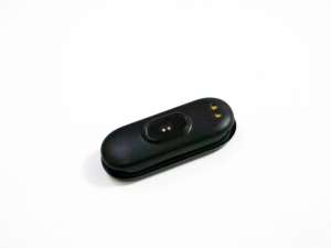 Xiomi Mi Band 6       6 ( ) 310 .