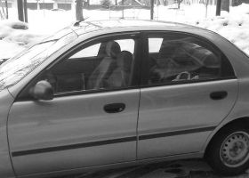 ZAZ Sens ��� �������