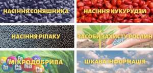 ³       TK Agro Seeds - 