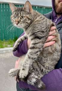 ʳ����� � ������ ����