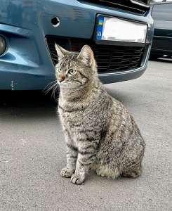 ʳ����� � ������ ����