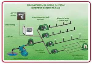 Автоматический полив газонов - объявление