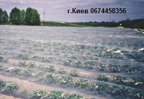 Агроволокно спанбонд производства Польша, Италия, Россия, - объявление