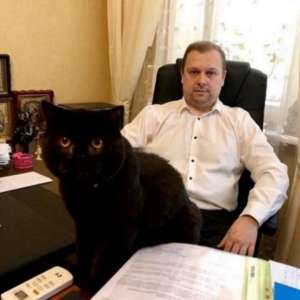 Адвокат по разводам в Киеве. - объявление