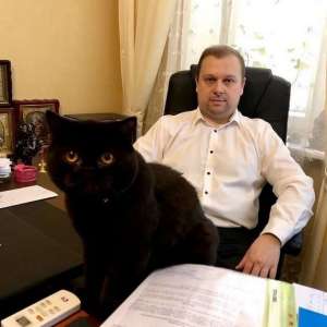 Адвокат по семейным и гражданским делам. - объявление