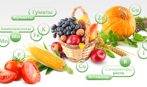 БИОЛОГИЧЕСКИ АКТИВНОЕ МИКРОУДОБРЕНИЕ НОВОГО ПОКОЛЕНИЯ - оголошення