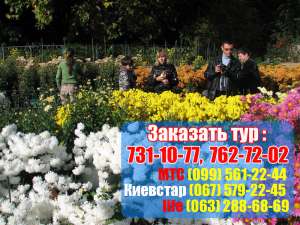 Бал Хризантем из Харькова 2012 - оголошення