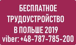 Бесплатные вакансии для мужчин в Польше. WorkBalance. - объявление