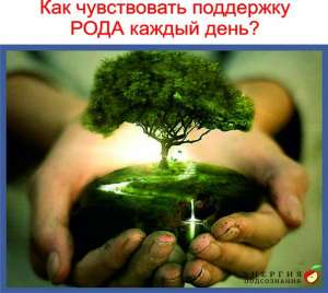 Бесплатный сочельник Рождественское благословение рода - объявление