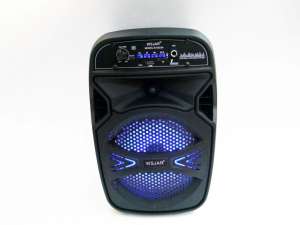Беспроводная портативная bluetooth колонка - чемодан E-6333B 460 грн. - объявление