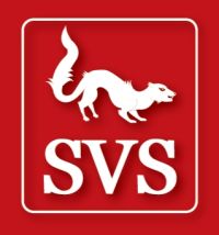 Бухгалтерские услуги Запорожье (отчеты в налоговую, пенсионный фонд) - объявление