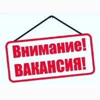 ВОДИТЕЛЬ МЕЖДУНАРОДНЫХ ГРУЗОВЫХ ПЕРЕВОЗОК ПОЛЬША - оголошення